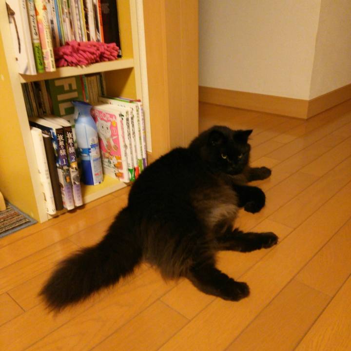 69001eba 987f 4a3c b724 f173e06ac5f4