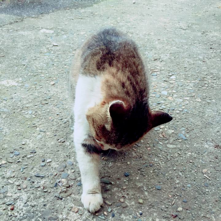 6900526f 7b46 4160 a2ca 92725b85a298