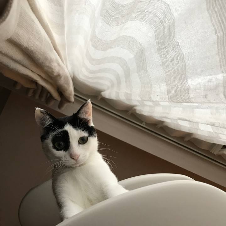 6900a14f 7212 4fc4 ba2d 0401b64165a7