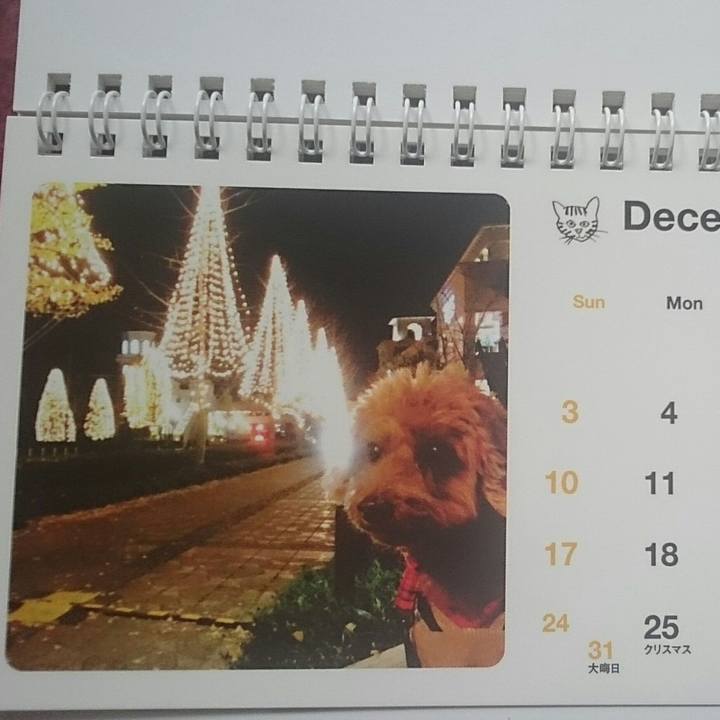 69011a24 6a80 4a26 804d c83ace9ef1c2