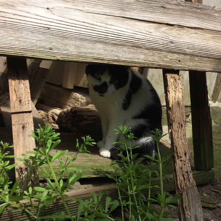 69017bc7 5047 4267 9534 d1be4441d690