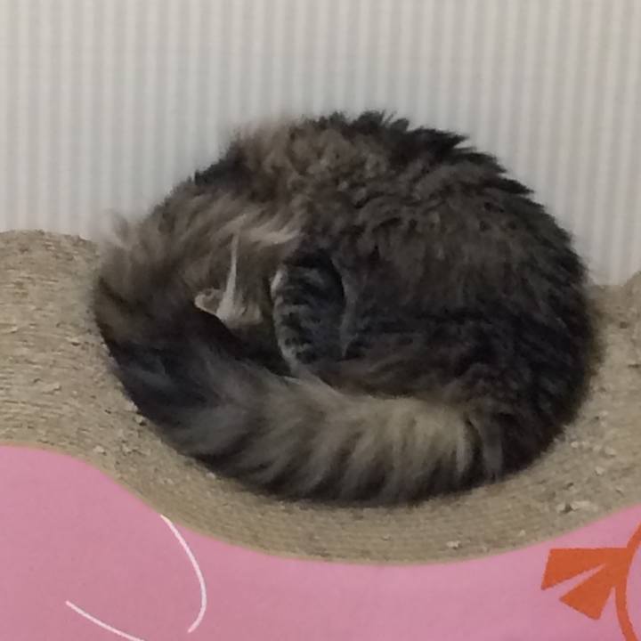 69018ed6 2d56 442b 906d f7d98f27ace1