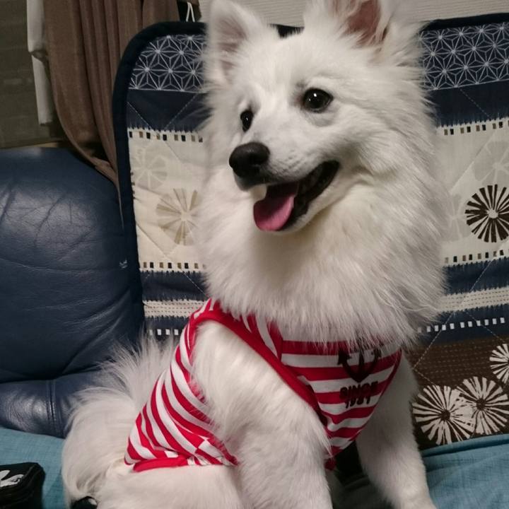 6901921b af66 4cbe 83de d77846b81aa5