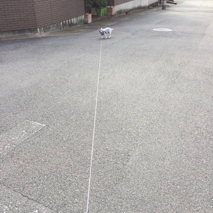 69035eae 0546 4175 b450 7e8a17cd90bf