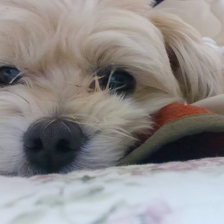 690379d7 1035 4247 9d04 a91d77227865