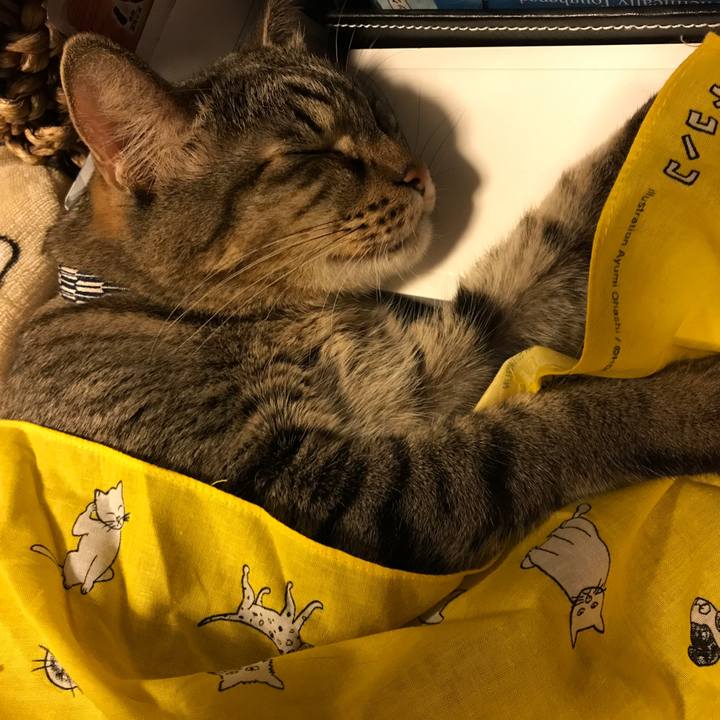 6903898f f02b 46c6 8fa9 df4c9d1b5a03