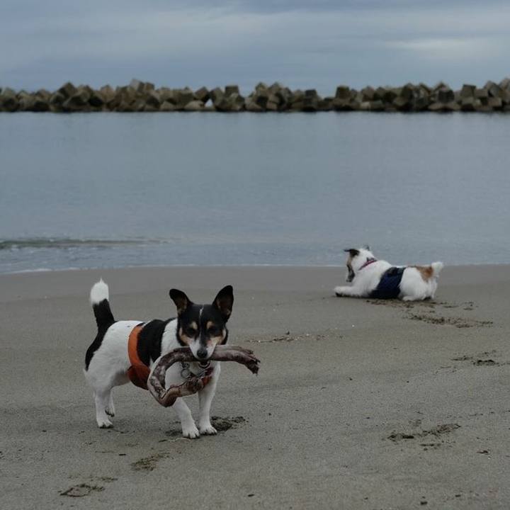 69038aa8 6c7a 46bb a9a7 a31f2cb015d7