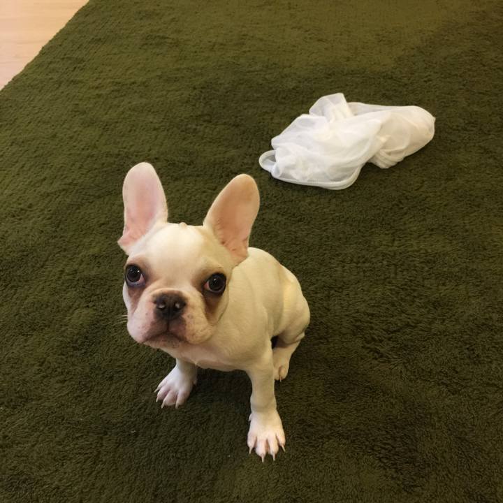 69039cfc d086 4f35 90cb 399eb4d7bd41