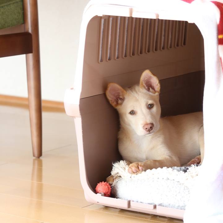 69049bbd b046 4edf b1a6 8c3a1a5cc9b9