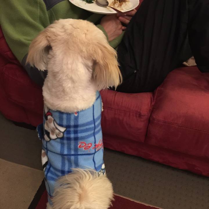 6904b222 7d42 4133 95fb 391dbd9d5f4b