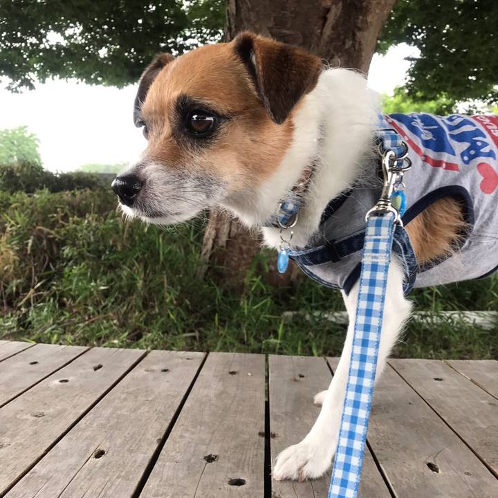 6904bc33 06f2 44f6 b051 c6af1640826c