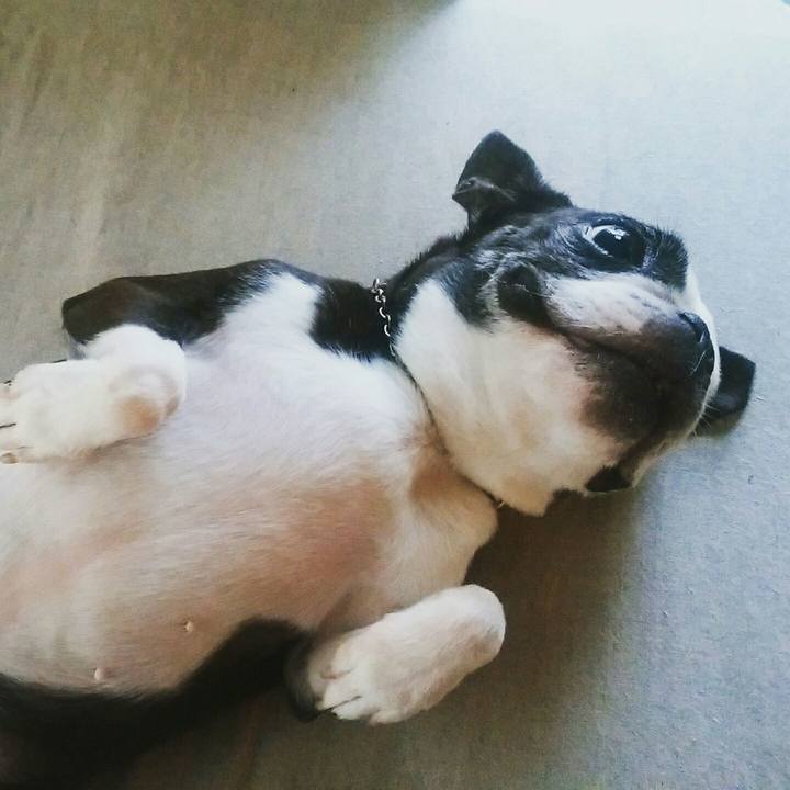 690510f0 6c61 4fbb 802b 6ca3bcb67558