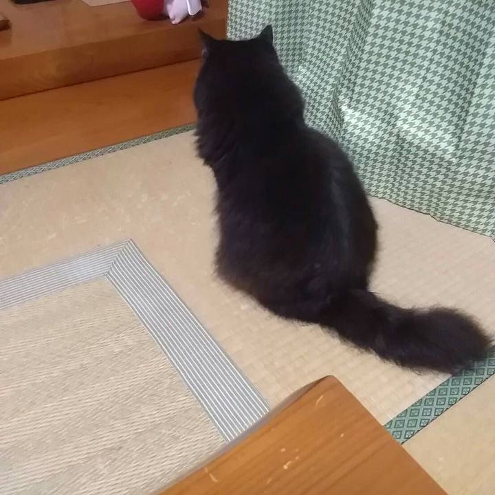 69052fc6 111d 48e0 8078 7d41d7cae12d