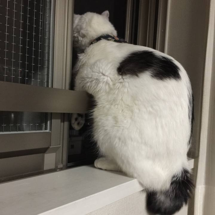 69055517 5853 4667 a7e6 80a87a6215e4