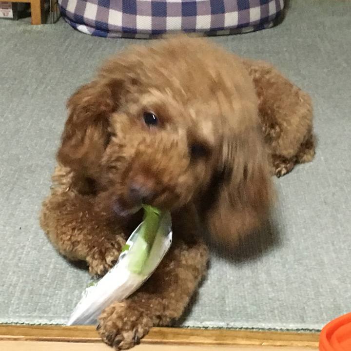 6905f03a 9461 423a 984e 41d7b77721b7