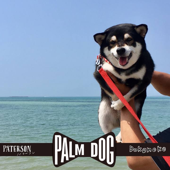 6905f086 aa56 4087 82db f540256b9d04