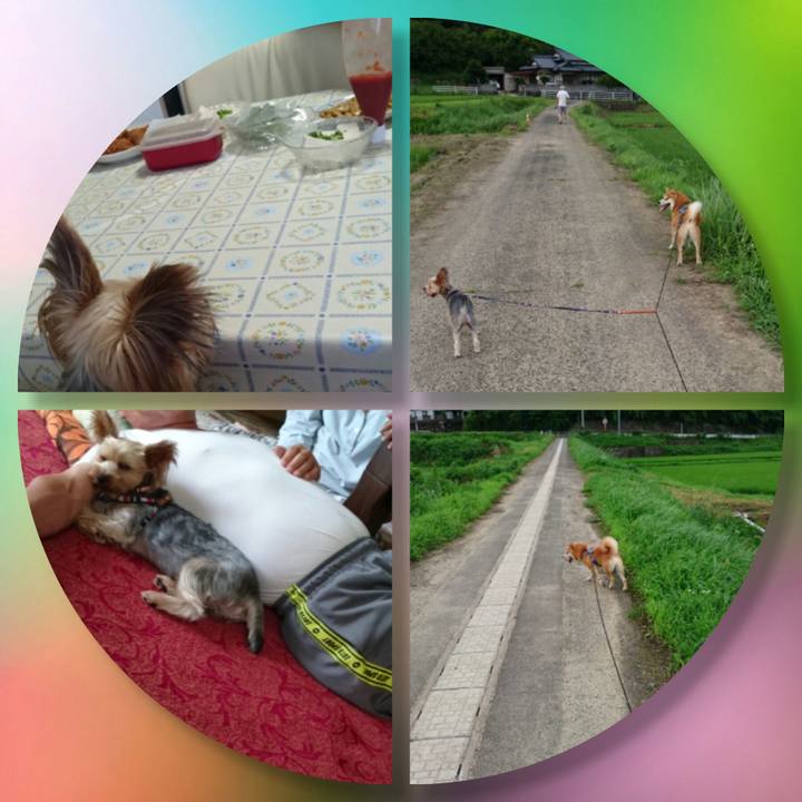 69063805 cdea 443c b52e 43096be61616