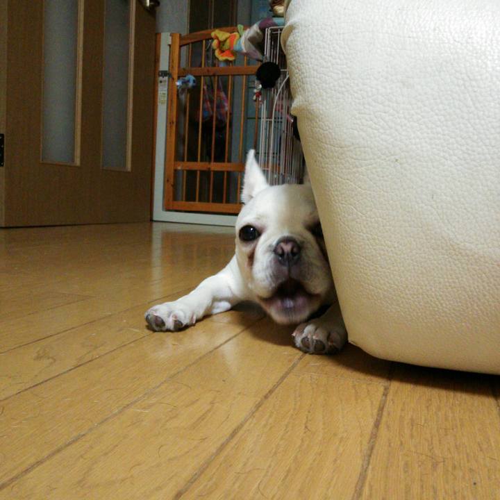 690681a2 df8e 4bbb ae0f 3208992bac94