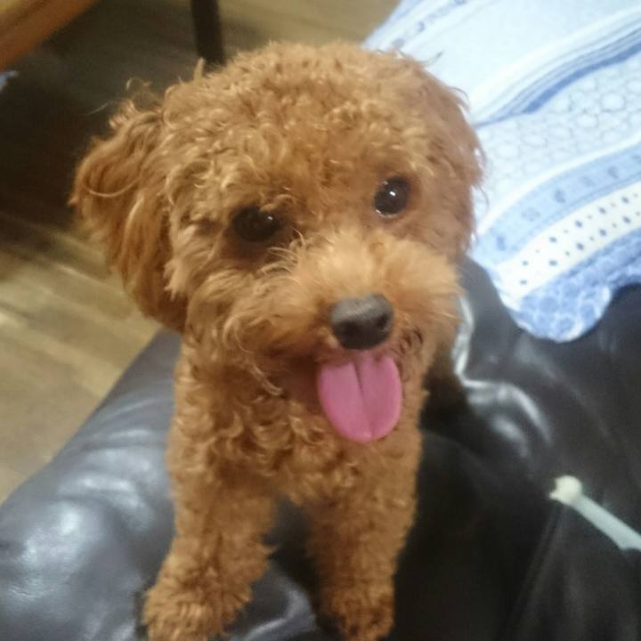 6906fc8a 3bee 417c 97bd f5ea4e98f0a3