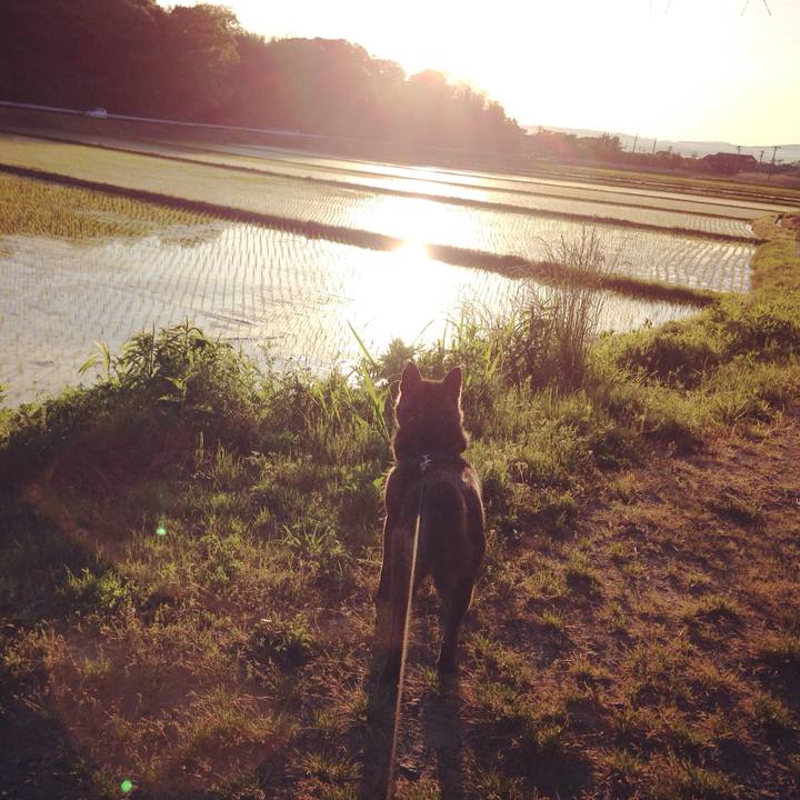 690707e6 ed78 41e1 b9ae caed2c58fa49