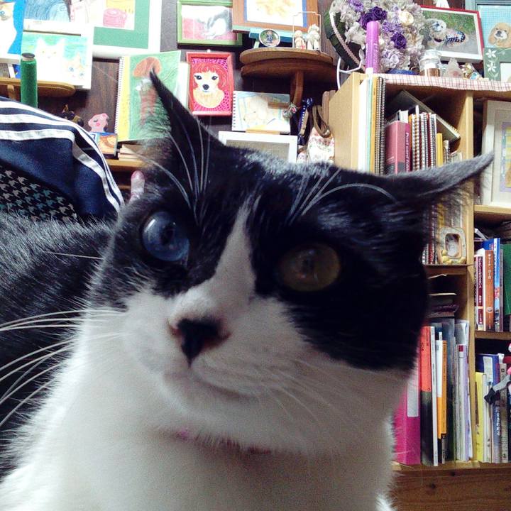 690734a8 2e33 4ff4 81a1 297a36f4e938