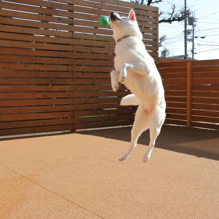 6907da96 1229 492a 93ff c51f944ae728