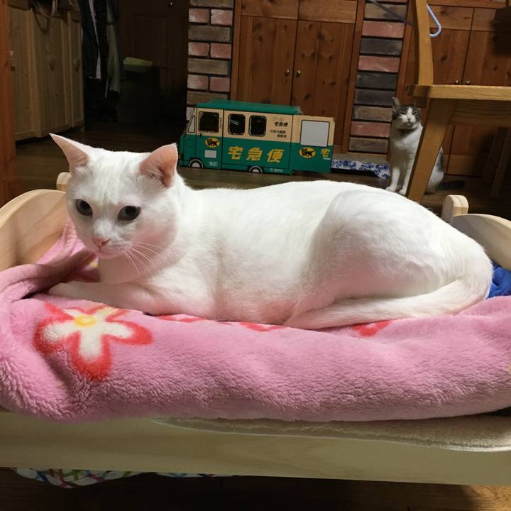 6908ebac 2e80 4706 ba21 aebdcd4078de