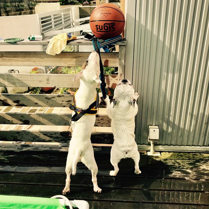 6909f109 d135 4a37 94c8 f032f0e2aa41