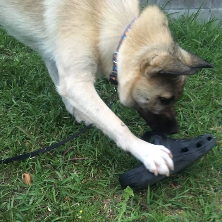 6909f3bc cca1 41d0 8a29 4fda2e09085b