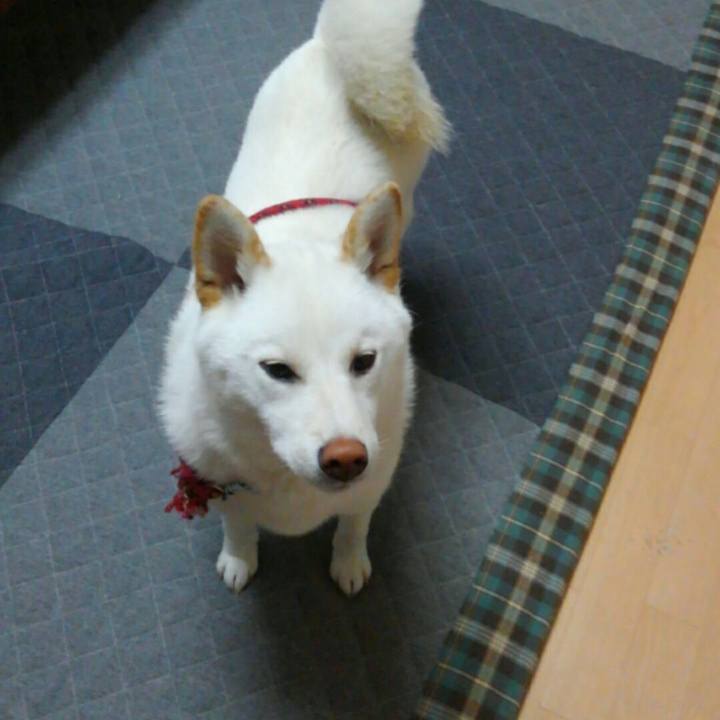 690adba6 2223 4096 8da1 218029e9198d