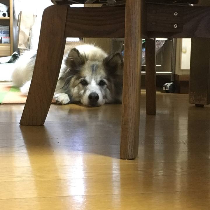 690aea93 04cb 4c2c bf7b 648a9608d330