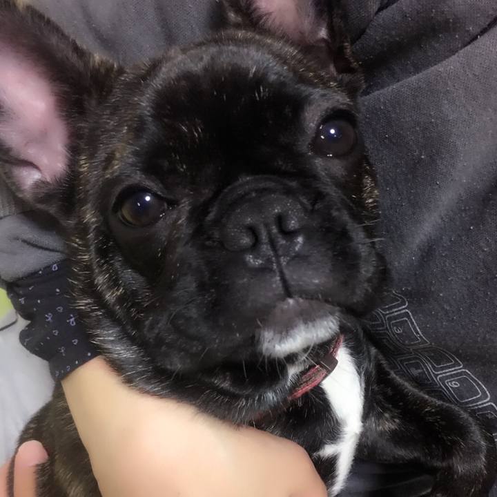 690b1e10 5795 45f4 9706 9e39600f25c8