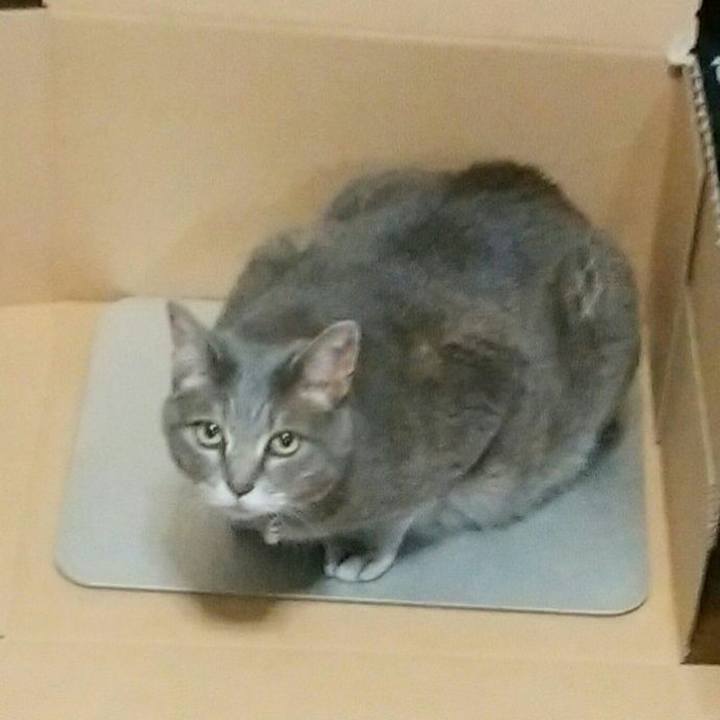 690b4111 20b2 4ecb a0dc d7bc697304c7