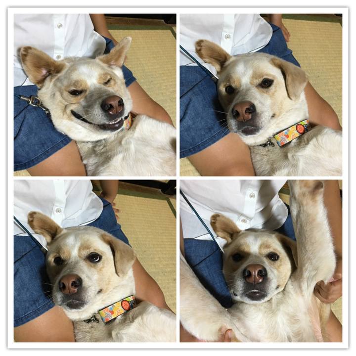 690ba3d0 0e91 4e43 b668 673ecef7c158