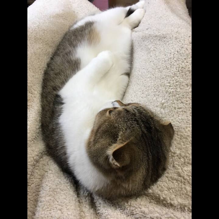 690c0d20 f44c 4376 b3af d823d4d14b15