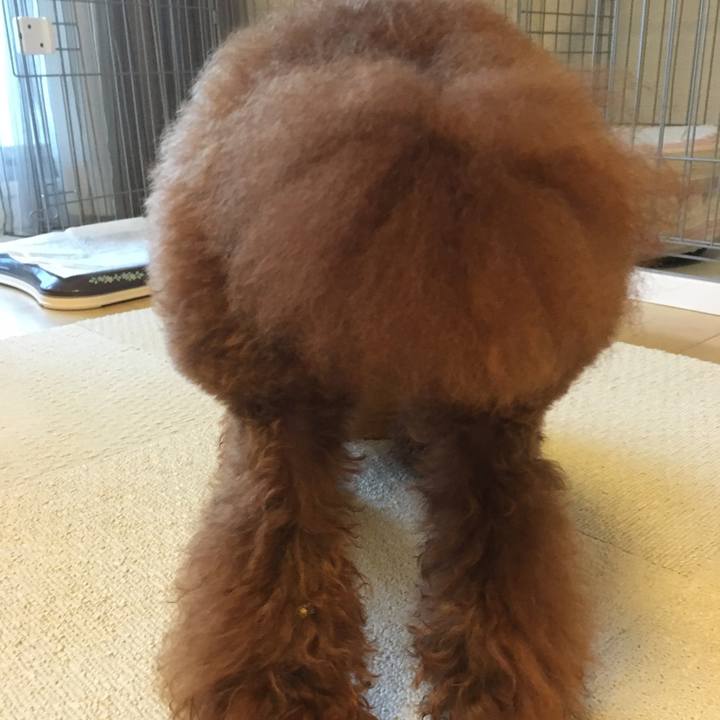 690ce25c 7a4d 4293 8bf6 df357e9ce6db