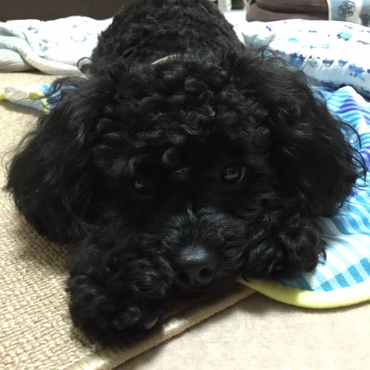 690cf86a 7e1b 466a bf88 a7b814dad78a