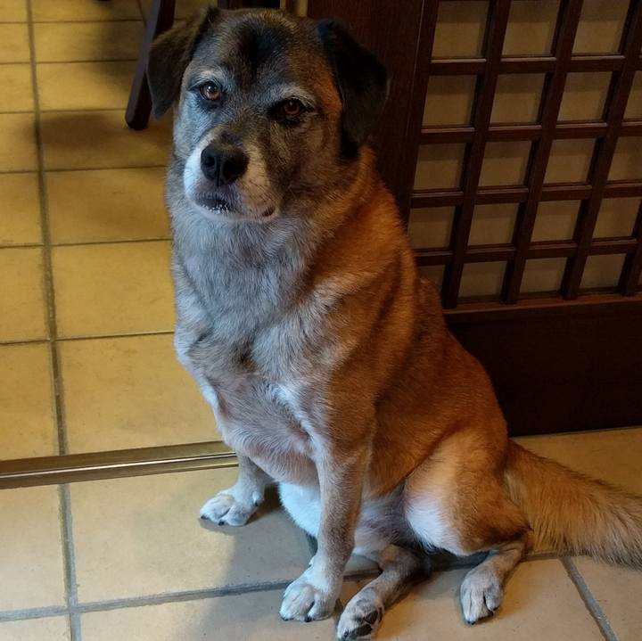 690da1bd 4a66 4c02 9bd5 84859778dcf4