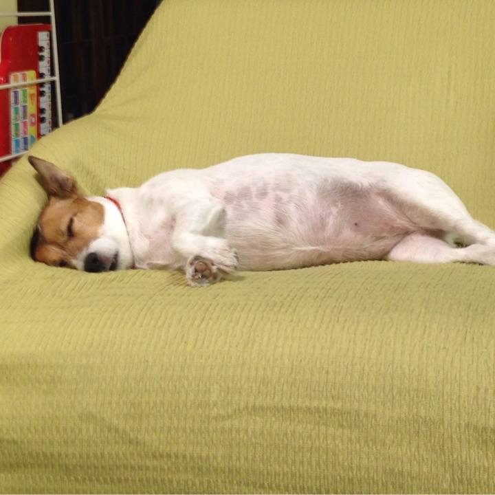 690e2e6e e544 409d beee 84f2de9543b6