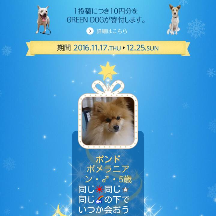 690e4dff 8bc8 43f7 85c4 1a02ab587b26