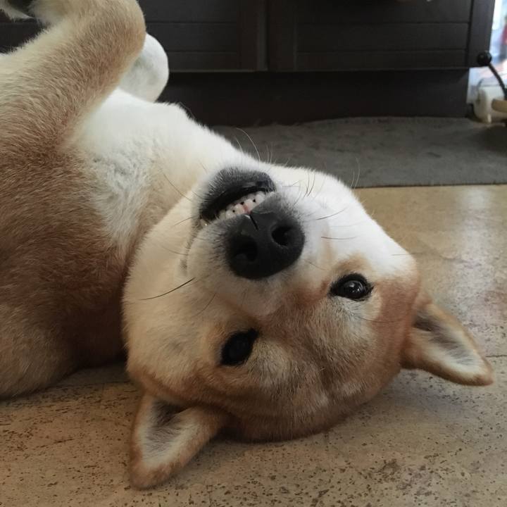 690e6146 3eb3 41ba a0d9 4f208077c655