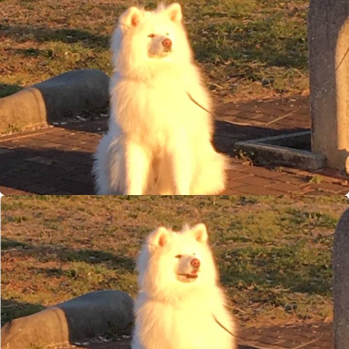 690e86b4 c3b3 4d4f 9404 1989aeb51728