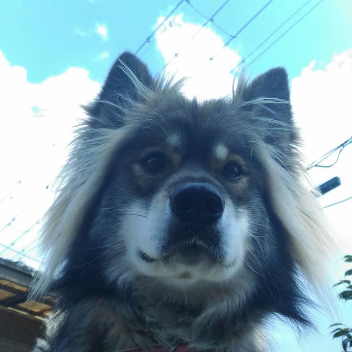 690e89d9 93bc 46ed a1c5 2526bcd10fb0