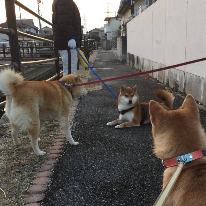 690ece99 73ec 4ed4 a4e7 8958d2747954