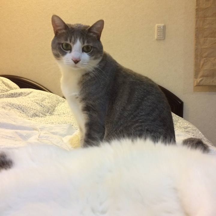 69101d0a 45e1 4e2e 8f0e d74724591699