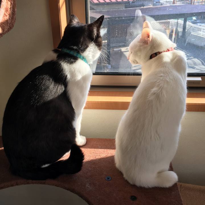 69105331 0730 4e92 ab4e 9785de9d6c52