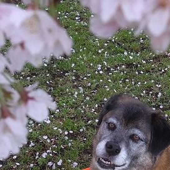 691076a9 f159 4408 8211 49f90e0ad46f