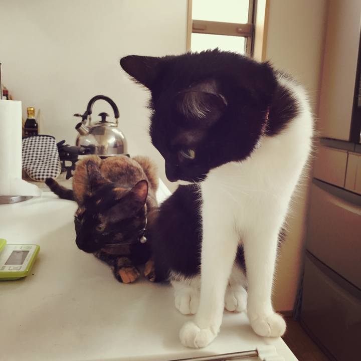 6910c362 ecd1 4014 b026 223453264dd6