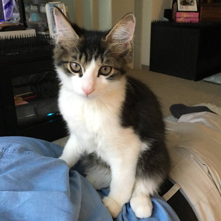 69111081 2c14 48c6 b330 8ad408a756d6