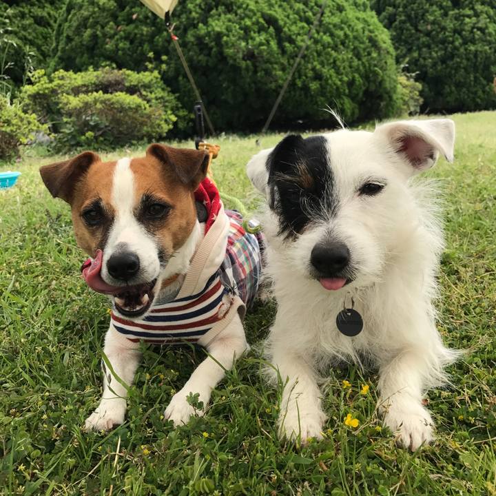 69116aab 40d1 4f45 a627 b55c2863f0be